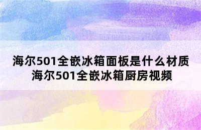 海尔501全嵌冰箱面板是什么材质 海尔501全嵌冰箱厨房视频